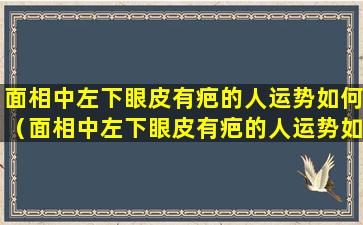 面相中左下眼皮有疤的人运势如何（面相中左下眼皮有疤的人运势如何呢）