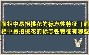 面相中易招桃花的标志性特征（面相中易招桃花的标志性特征有哪些）