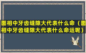 面相中牙齿缝隙大代表什么命（面相中牙齿缝隙大代表什么命运呢）