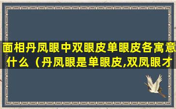 面相丹凤眼中双眼皮单眼皮各寓意什么（丹凤眼是单眼皮,双凤眼才是双眼皮是吗）