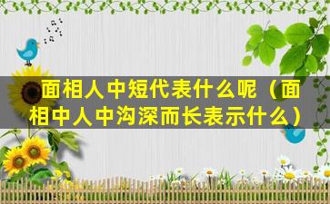 面相人中短代表什么呢（面相中人中沟深而长表示什么）