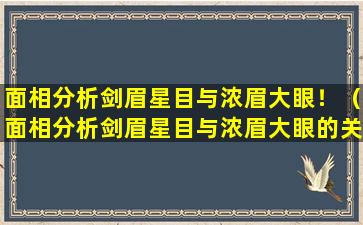 面相分析剑眉星目与浓眉大眼！（面相分析剑眉星目与浓眉大眼的关系）