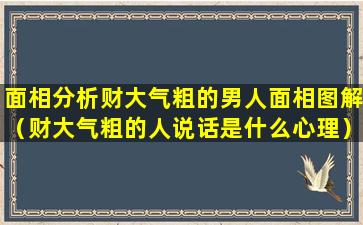 面相分析财大气粗的男人面相图解（财大气粗的人说话是什么心理）