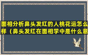 面相分析鼻头发红的人桃花运怎么样（鼻头发红在面相学中是什么意思）