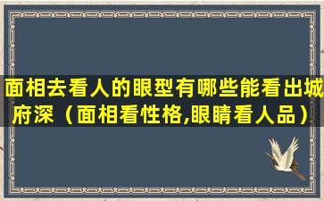 面相去看人的眼型有哪些能看出城府深（面相看性格,眼睛看人品）