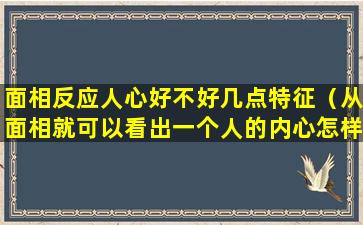 面相反应人心好不好几点特征（从面相就可以看出一个人的内心怎样形容）