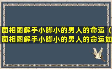 面相图解手小脚小的男人的命运（面相图解手小脚小的男人的命运如何）