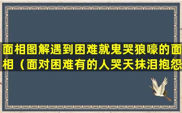 面相图解遇到困难就鬼哭狼嚎的面相（面对困难有的人哭天抹泪抱怨生活的不公平）