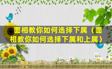 面相教你如何选择下属（面相教你如何选择下属和上属）