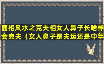 面相风水之克夫相女人鼻子长啥样会克夫（女人鼻子是夫运还是中年运势）