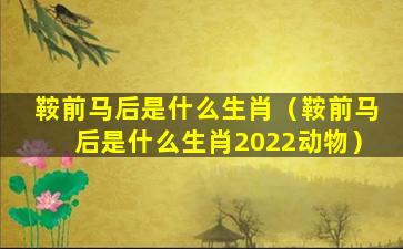 鞍前马后是什么生肖（鞍前马后是什么生肖2022动物）