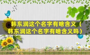 韩东润这个名字有啥含义（韩东润这个名字有啥含义吗）