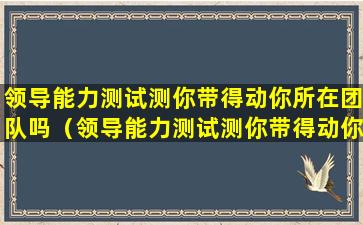 领导能力测试测你带得动你所在团队吗（领导能力测试测你带得动你所在团队吗为什么）