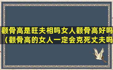 颧骨高是旺夫相吗女人颧骨高好吗（颧骨高的女人一定会克死丈夫吗）