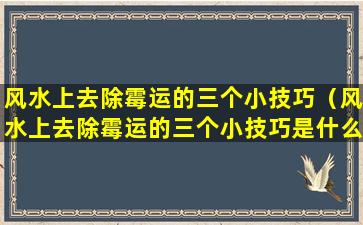 风水上去除霉运的三个小技巧（风水上去除霉运的三个小技巧是什么）