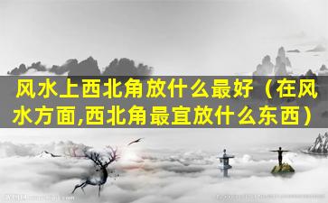 风水上西北角放什么最好（在风水方面,西北角最宜放什么东西）