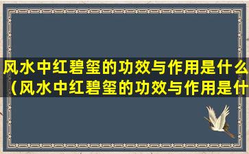 风水中红碧玺的功效与作用是什么（风水中红碧玺的功效与作用是什么样的）