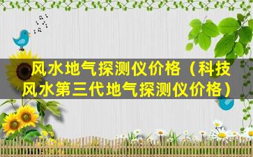 风水地气探测仪价格（科技风水第三代地气探测仪价格）