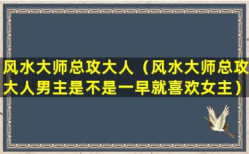 风水大师总攻大人（风水大师总攻大人男主是不是一早就喜欢女主）