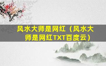 风水大师是网红（风水大师是网红TXT百度云）