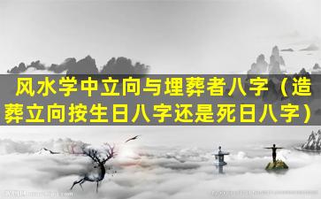 风水学中立向与埋葬者八字（造葬立向按生日八字还是死日八字）