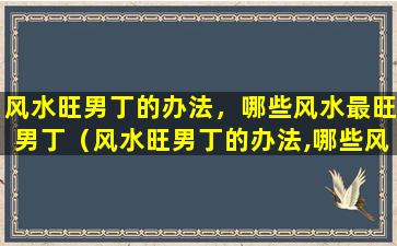 风水旺男丁的办法，哪些风水最旺男丁（风水旺男丁的办法,哪些风水最旺男丁）