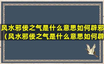 风水邪佞之气是什么意思如何辟邪（风水邪佞之气是什么意思如何辟邪化煞）