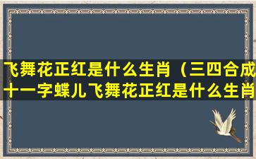 飞舞花正红是什么生肖（三四合成十一字蝶儿飞舞花正红是什么生肖）