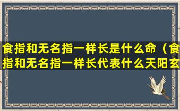 食指和无名指一样长是什么命（食指和无名指一样长代表什么天阳玄机）