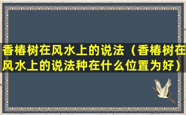 香椿树在风水上的说法（香椿树在风水上的说法种在什么位置为好）