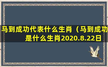 马到成功代表什么生肖（马到成功是什么生肖2020.8.22日）