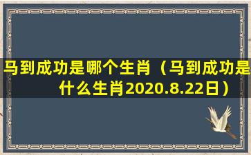 马到成功是哪个生肖（马到成功是什么生肖2020.8.22日）