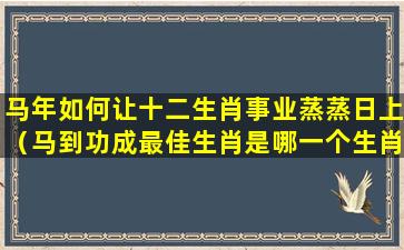 马年如何让十二生肖事业蒸蒸日上（马到功成最佳生肖是哪一个生肖）