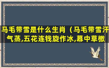 马毛带雪是什么生肖（马毛带雪汗气蒸,五花连钱旋作冰,幕中草檄砚水凝）