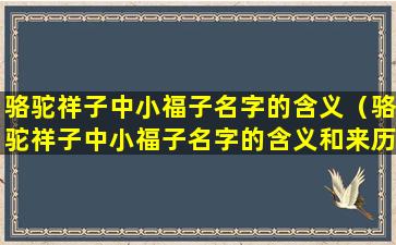 骆驼祥子中小福子名字的含义（骆驼祥子中小福子名字的含义和来历）