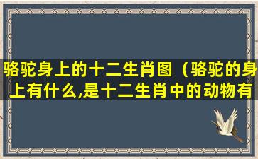 骆驼身上的十二生肖图（骆驼的身上有什么,是十二生肖中的动物有的特点,用蒙语）