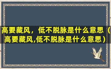 高要藏风，低不脱脉是什么意思（高要藏风,低不脱脉是什么意思）