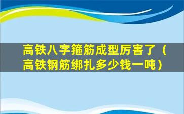 高铁八字箍筋成型厉害了（高铁钢筋绑扎多少钱一吨）