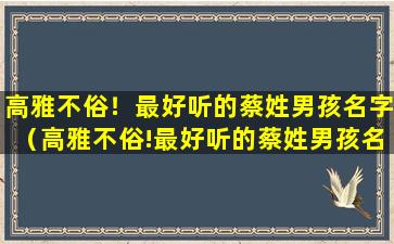 高雅不俗！最好听的蔡姓男孩名字（高雅不俗!最好听的蔡姓男孩名字）