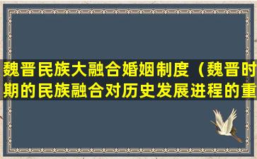 魏晋民族大融合婚姻制度（魏晋时期的民族融合对历史发展进程的重要影响）