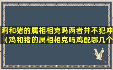 鸡和猪的属相相克吗两者并不犯冲（鸡和猪的属相相克吗鸡配哪几个肖）