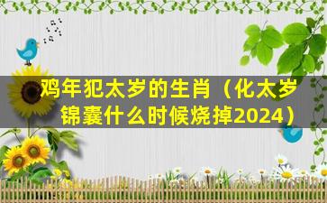 鸡年犯太岁的生肖（化太岁锦囊什么时候烧掉2024）