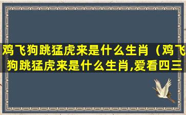 鸡飞狗跳猛虎来是什么生肖（鸡飞狗跳猛虎来是什么生肖,爱看四三带吾行指什么生肖）