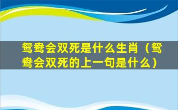 鸳鸯会双死是什么生肖（鸳鸯会双死的上一句是什么）