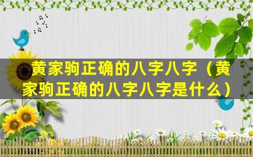 黄家驹正确的八字八字（黄家驹正确的八字八字是什么）