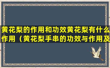 黄花梨的作用和功效黄花梨有什么作用（黄花梨手串的功效与作用及禁忌）