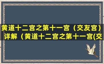 黄道十二宫之第十一宫（交友宫）详解（黄道十二宫之第十一宫(交友宫)详解）