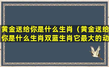 黄金送给你是什么生肖（黄金送给你是什么生肖双蓝生肖它最大的动物）