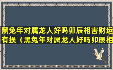 黑兔年对属龙人好吗卯辰相害财运有损（黑兔年对属龙人好吗卯辰相害财运有损财吗）