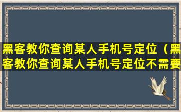 黑客教你查询某人手机号定位（黑客教你查询某人手机号定位不需要别人同意）